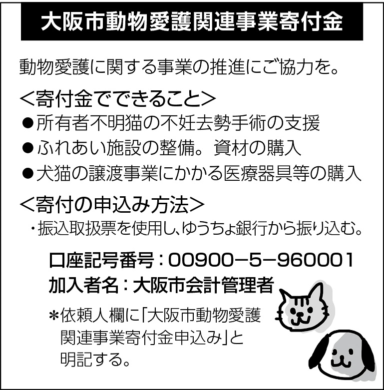 11p_地域_ワンニャン_インフォ01