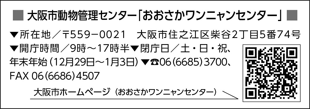 11p_地域_ワンニャン_インフォ02