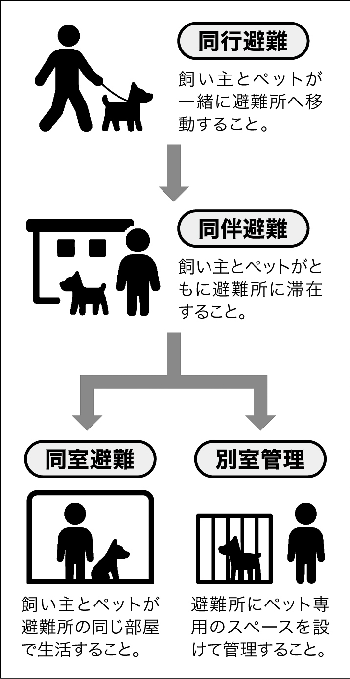 13p_防災_ペットと避難