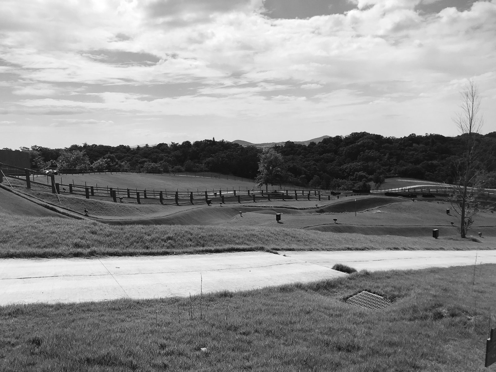 18p_スポーツ_03ネスタ神戸