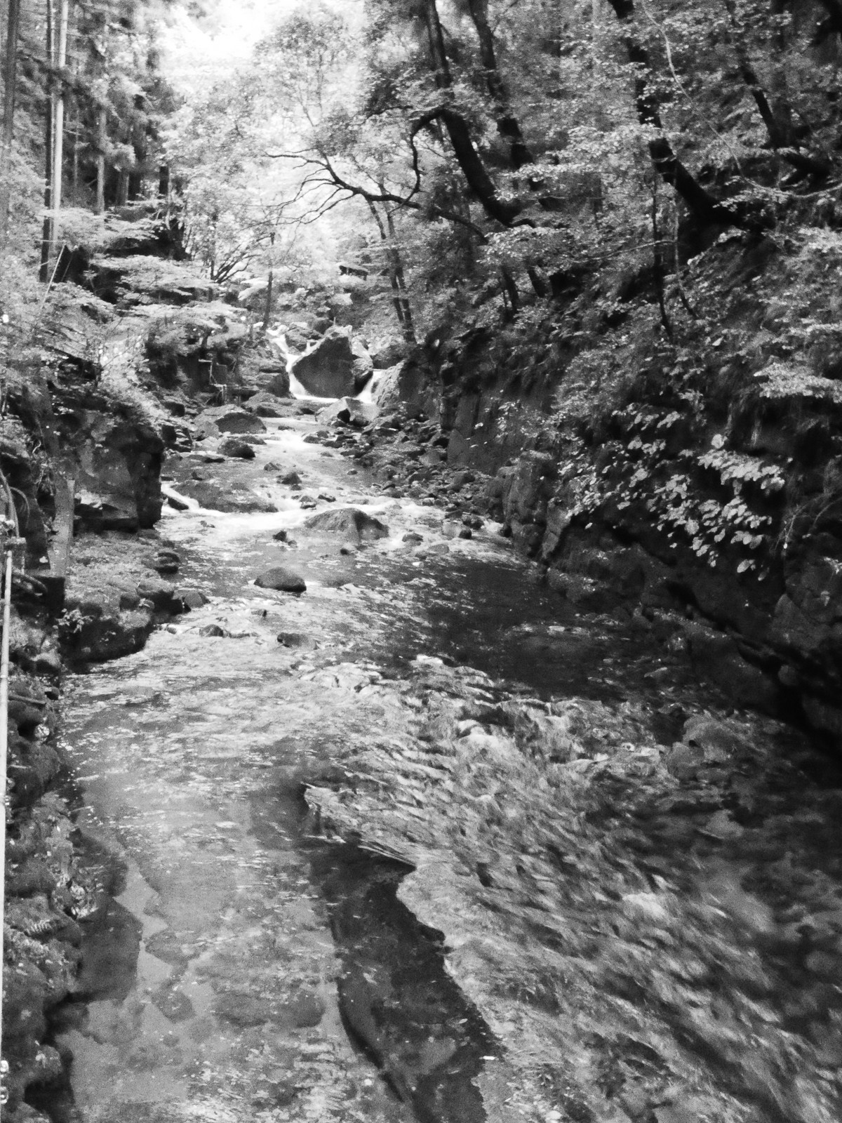 19p_訪問_02赤目滝