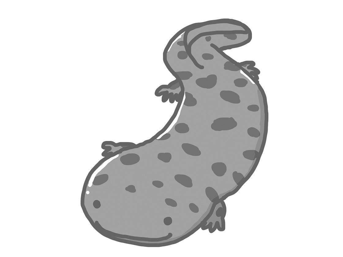 19p_訪問_06赤目滝