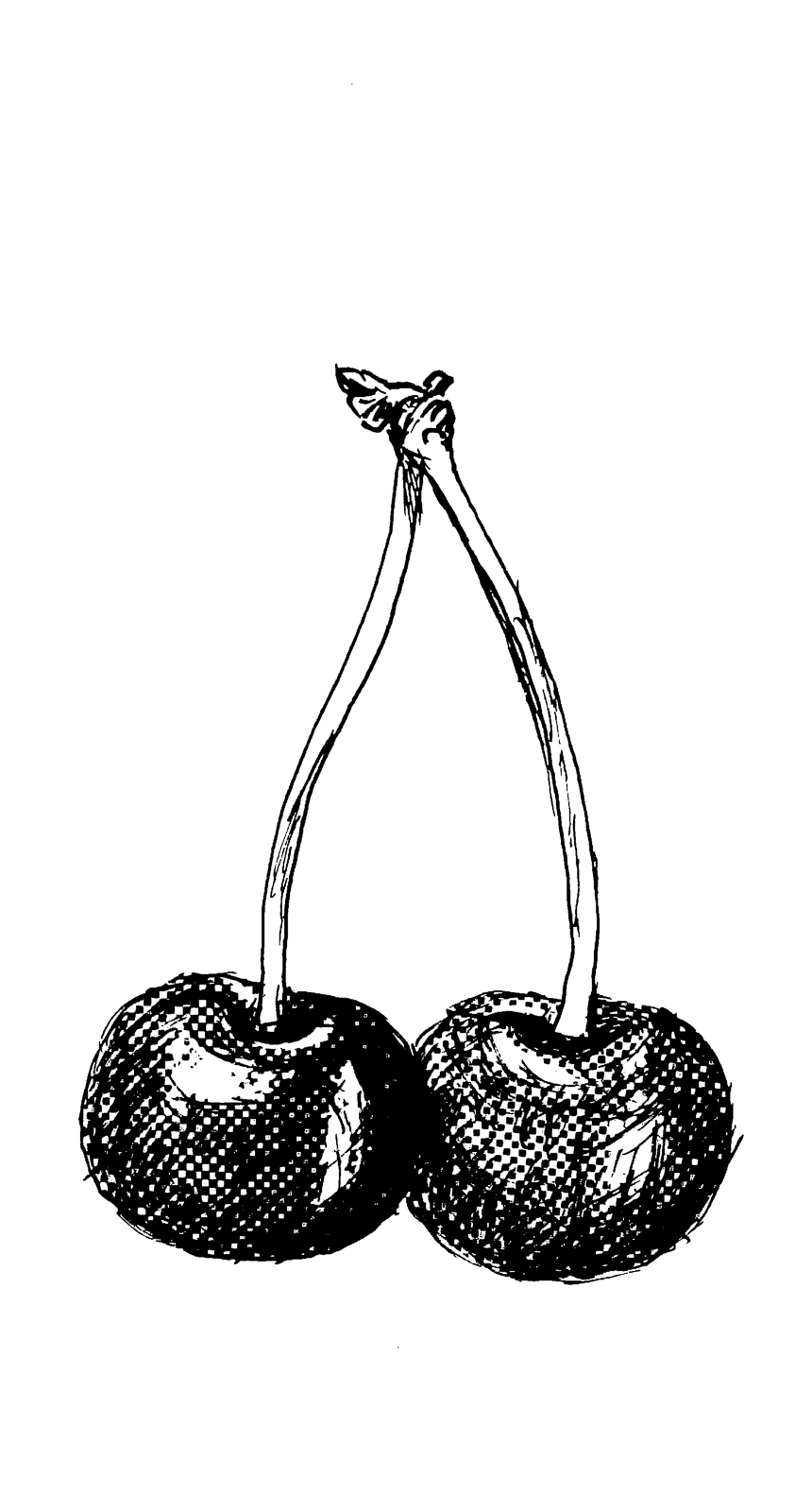24p_イラスト①a