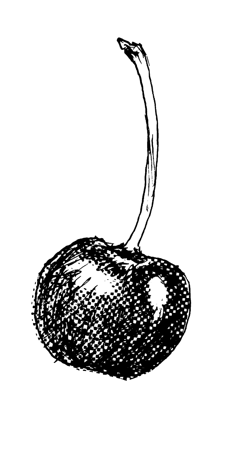 24p_イラスト①b