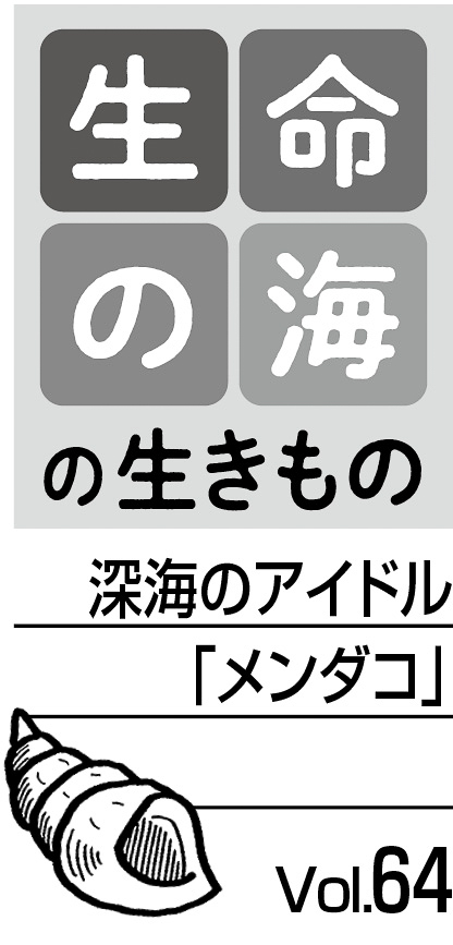 11p_生命の海64_見出し