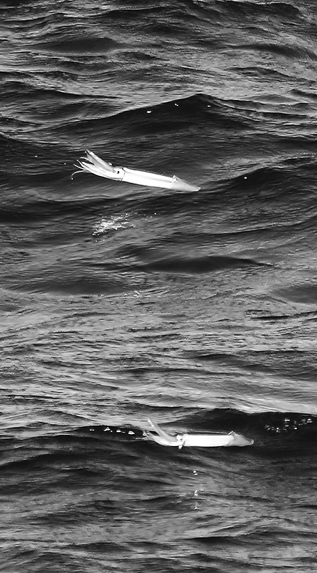 10p_生命の海66