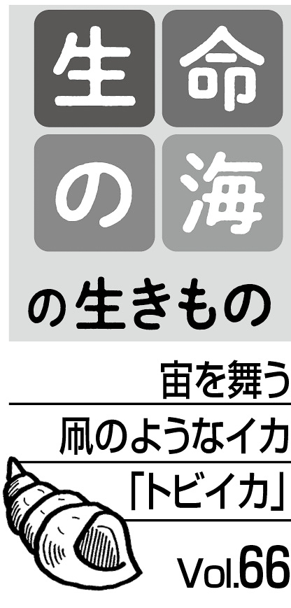 10p_生命の海66_見出し