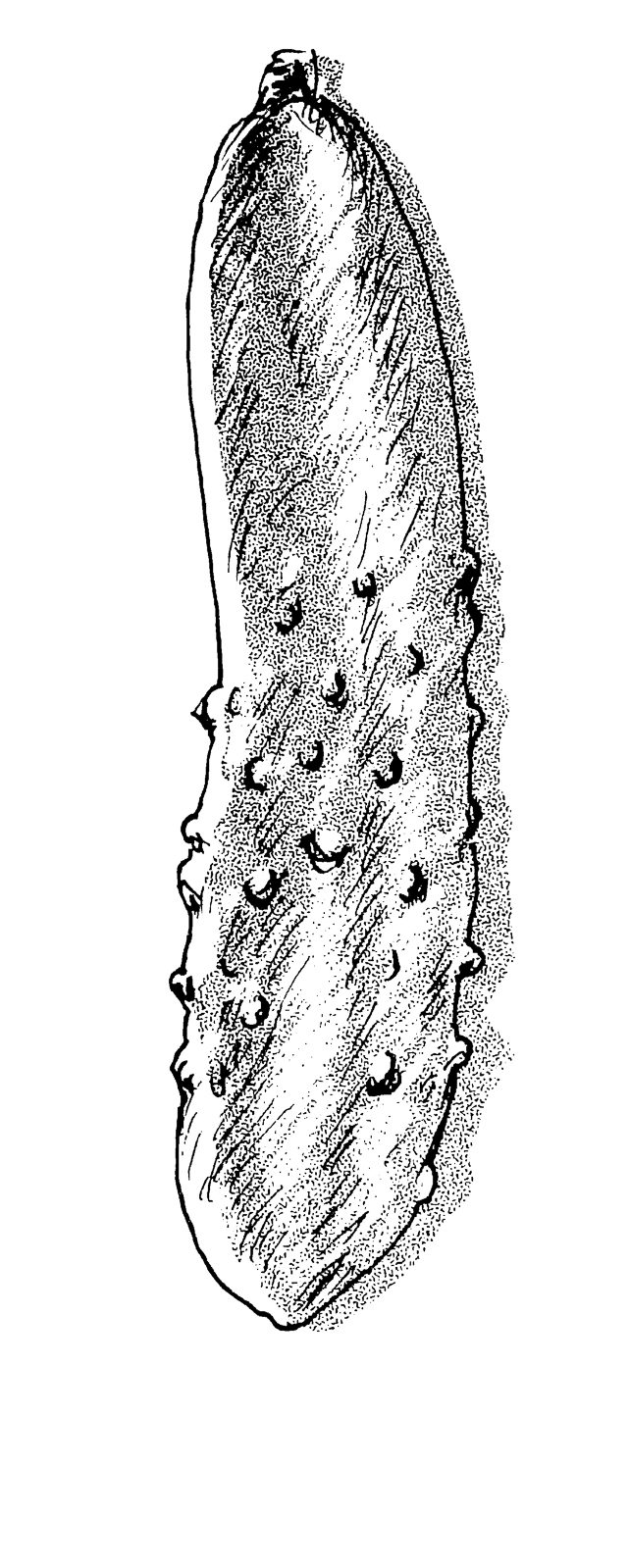 21p_野菜 吹き出し シルエット①