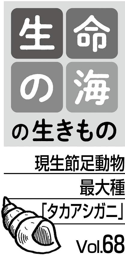 10p_生命の海68_見出し