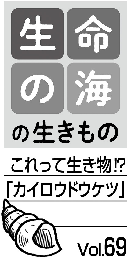 09p_生命の海_69_見出し