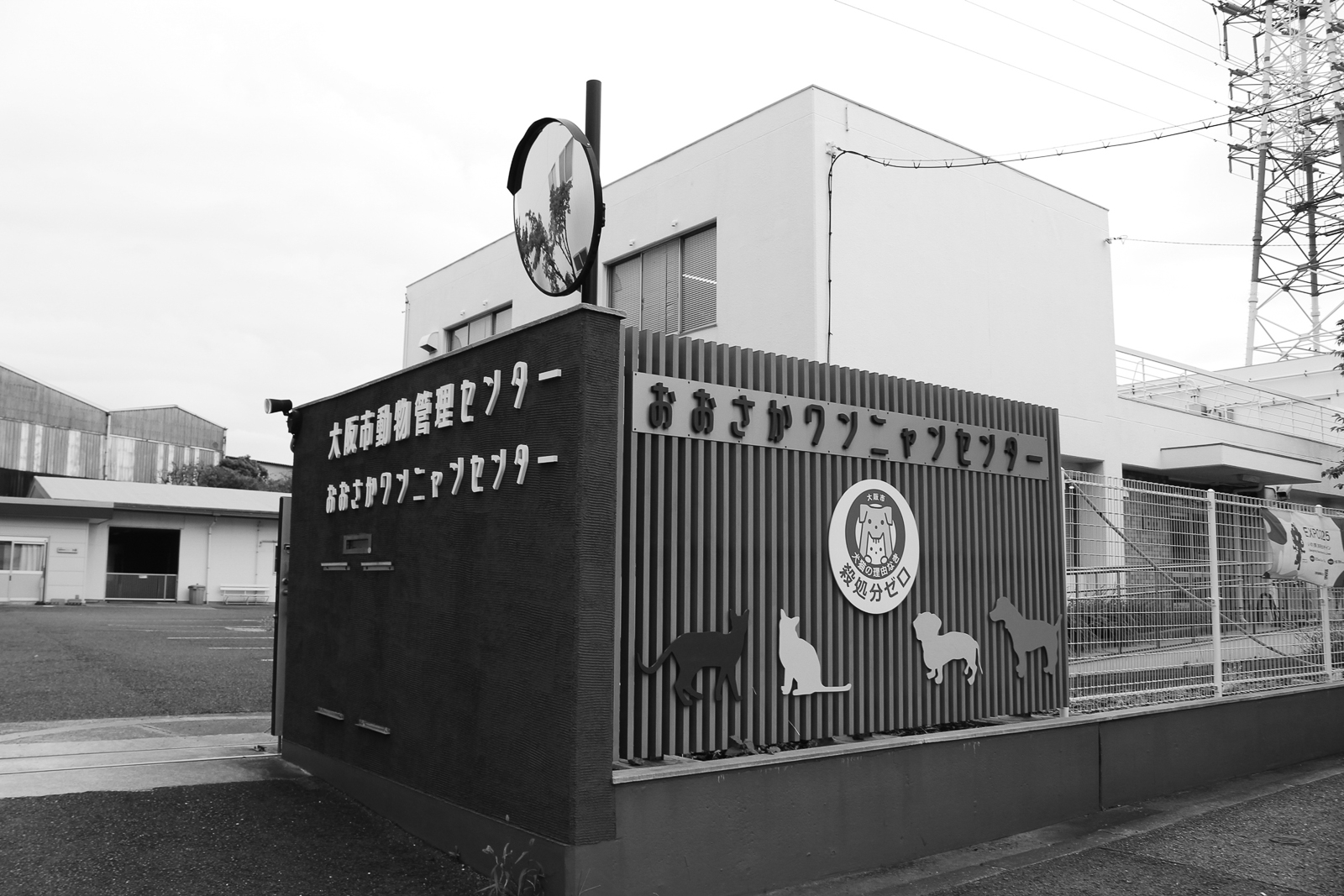 11p_地域_ワンニャン01