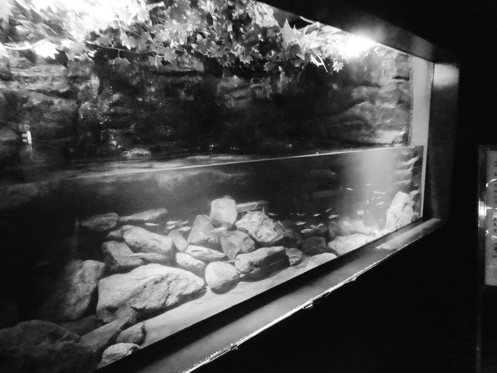 19p_訪問_05赤目滝