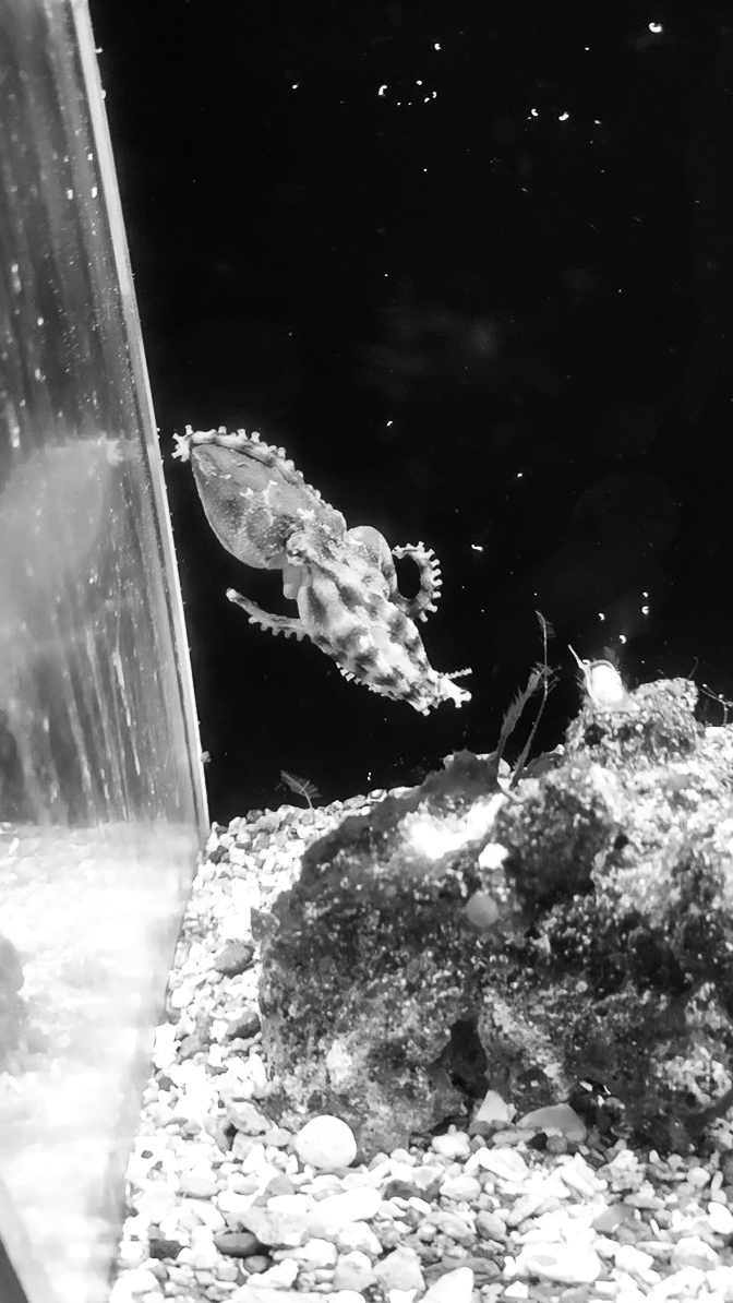 09p_生命の海63