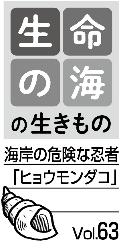 09p_生命の海63_見出し