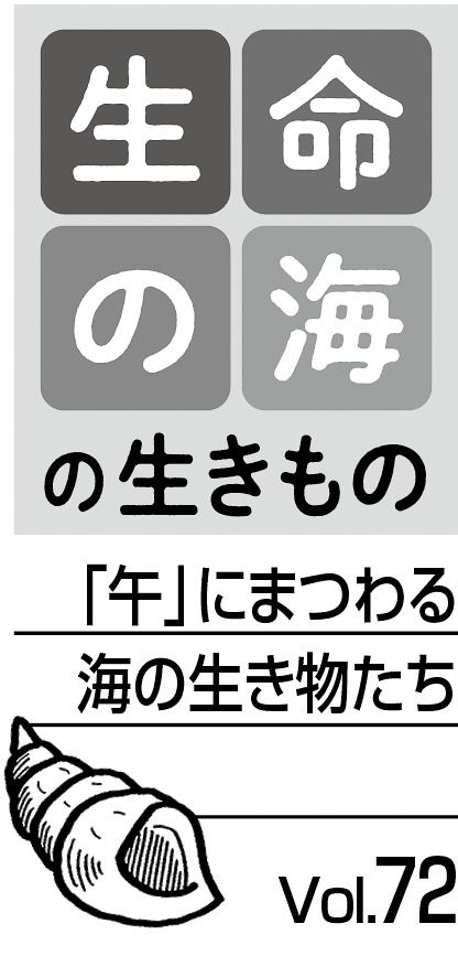 09p_生命の海_72見出し