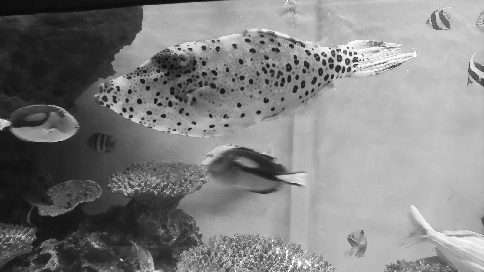 10p_生命の海67