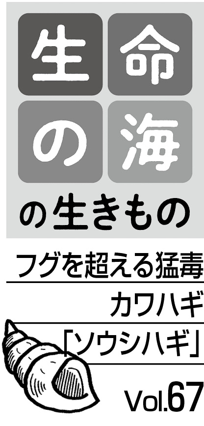 10p_生命の海67_見出し