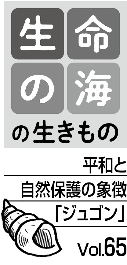 11p_生命の海65_見出し