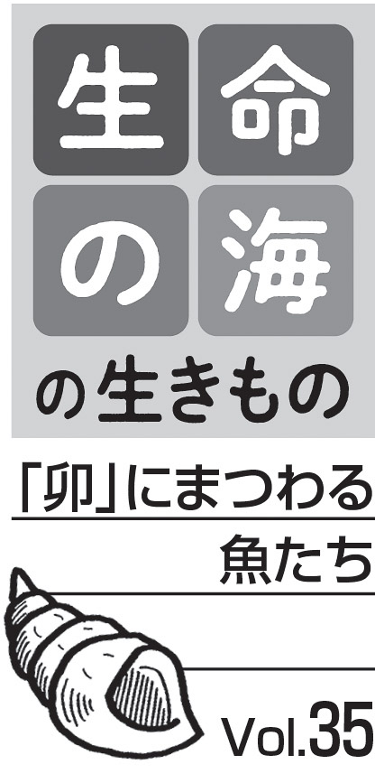 08p_生命の海35_見出し