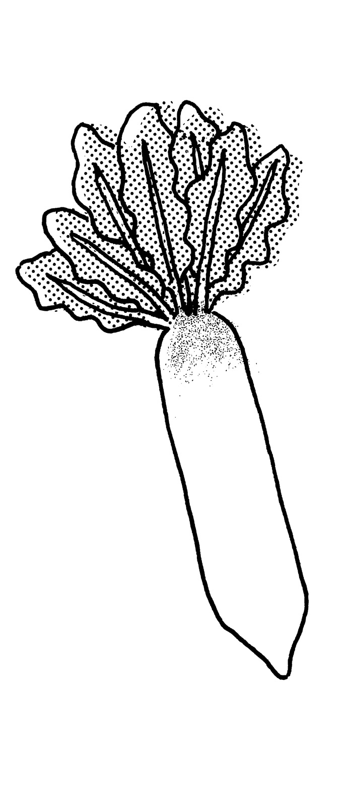 19p_シルエット 植物 楽器②