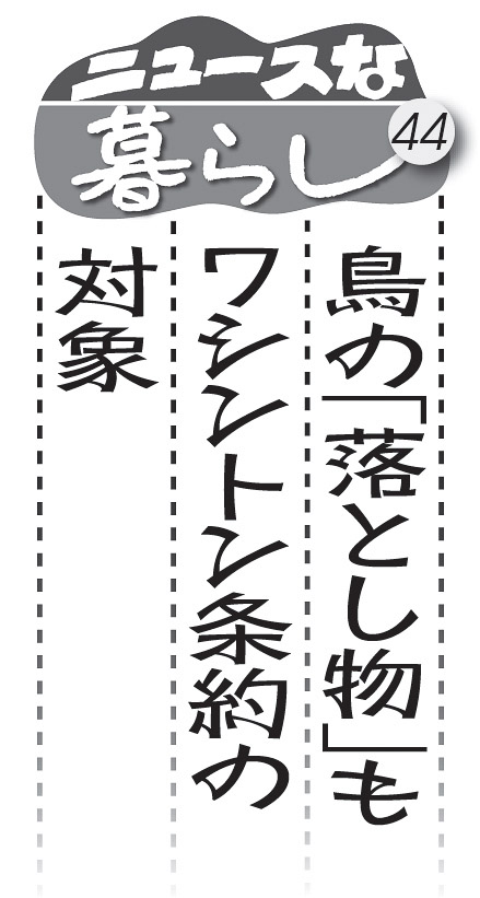 06p_ニュースな暮らし44_見出し