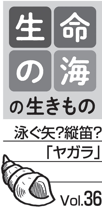 09p_生命の海36_見出し