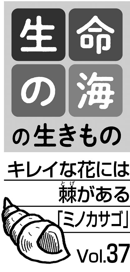 08p_生命の海37_見出し