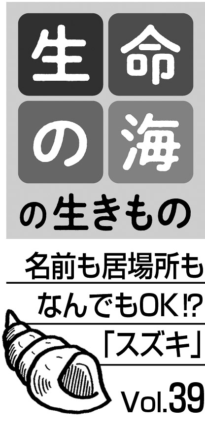 09p_生命の海39 見出し