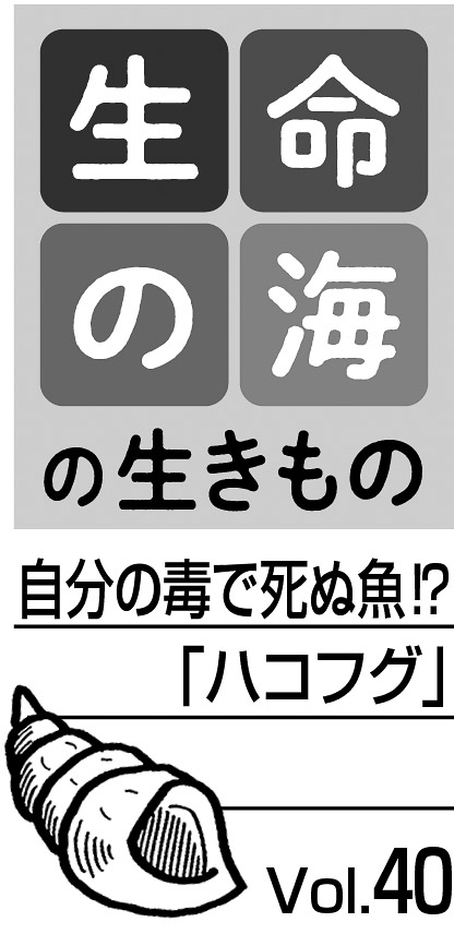 10p_生命の海40_見出し