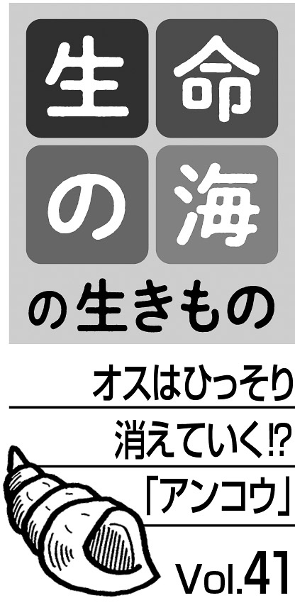 09p_生命の海41_見出し