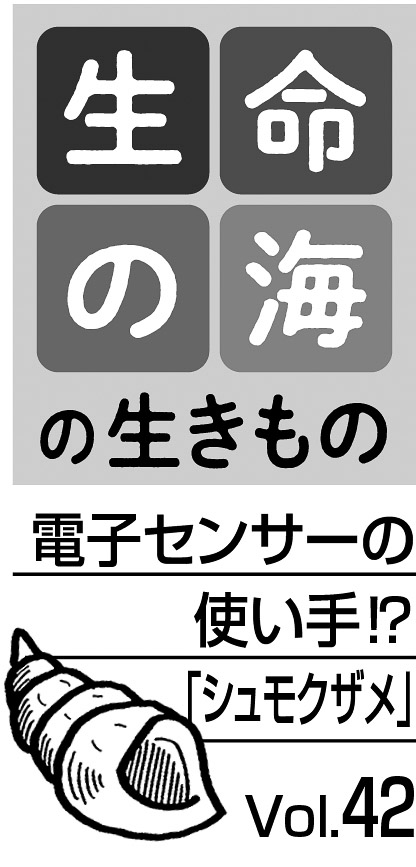 09p_生命の海42_見出し