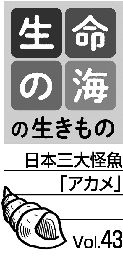 09p_生命の海43_見出し