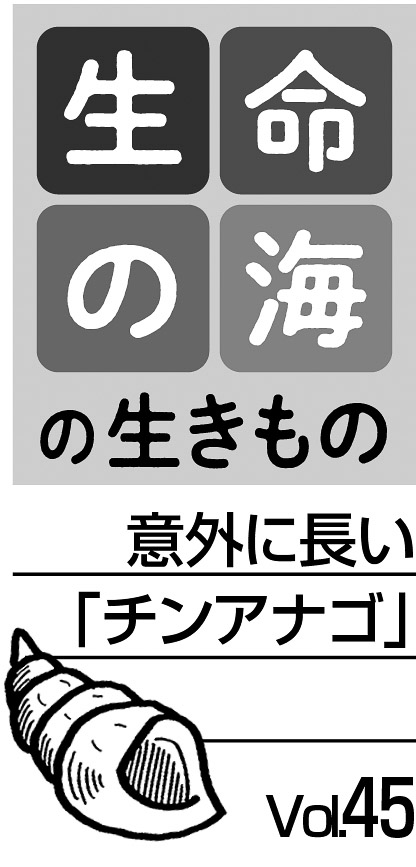 07p_生命の海45_見出し