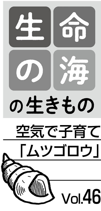 08p_生命の海46_見出し