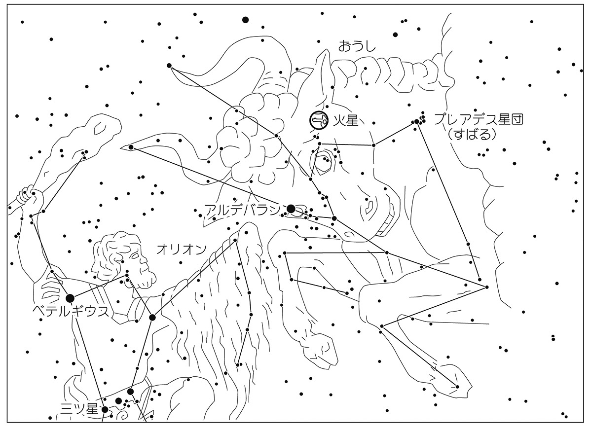 06p_星_図3