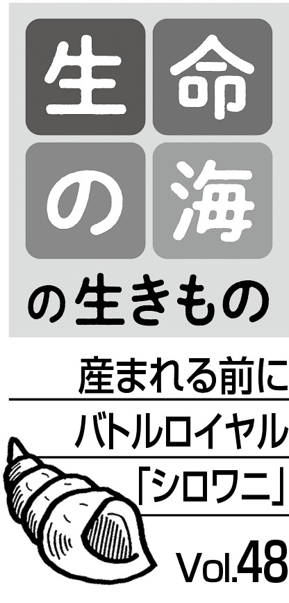 08p_生命の海48_見出し