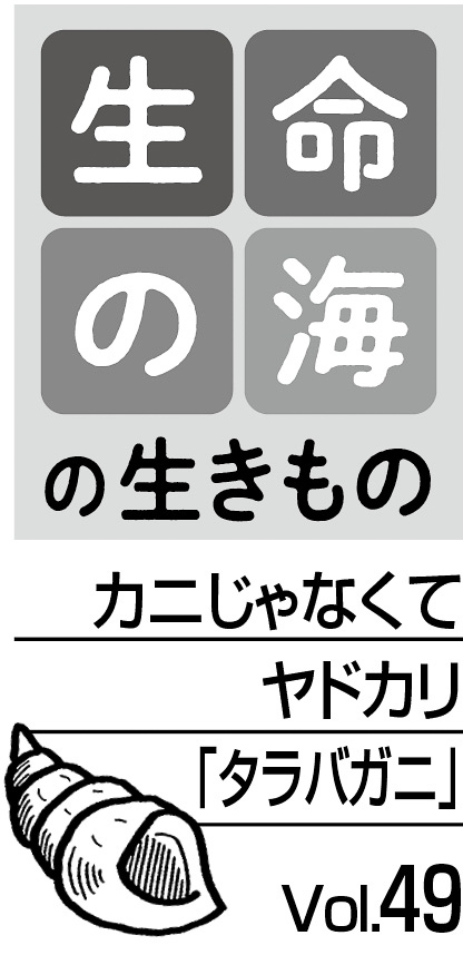 08p_生命の海49見出し