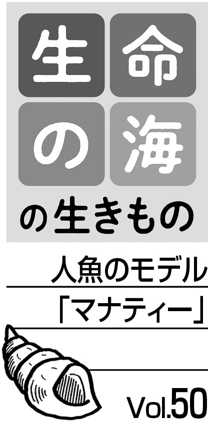 08p_生命の海50_見出し