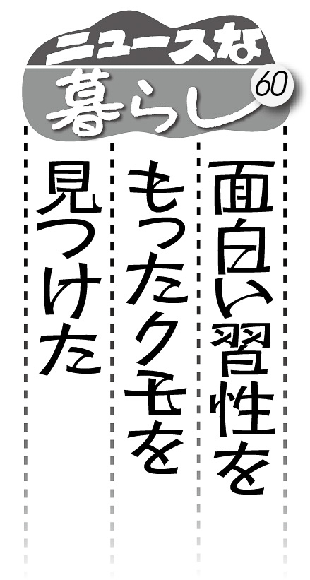 07p_ニュースな暮らし60_見出し