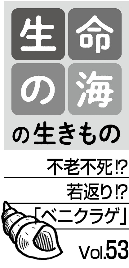 08p_生命の海53_見出し