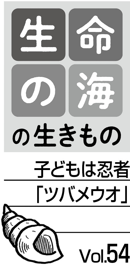 09p_生命の海54_見出し