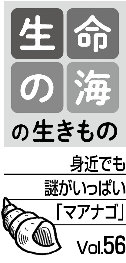 09p_生命の海56_見出し