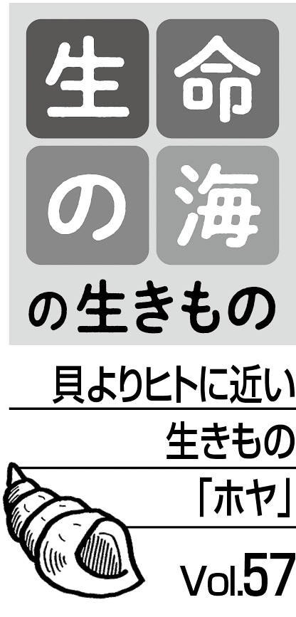 09p_生命の海_57_見出し