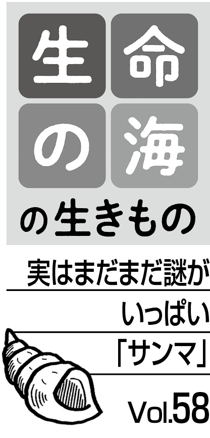 08p_生命の海_58_見出し